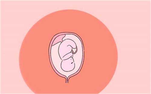 天子供卵助孕中心地址（供卵一次成功的概率大吗）